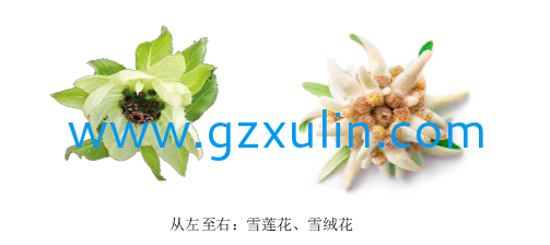 廣州旭林精細(xì)化工有限公司